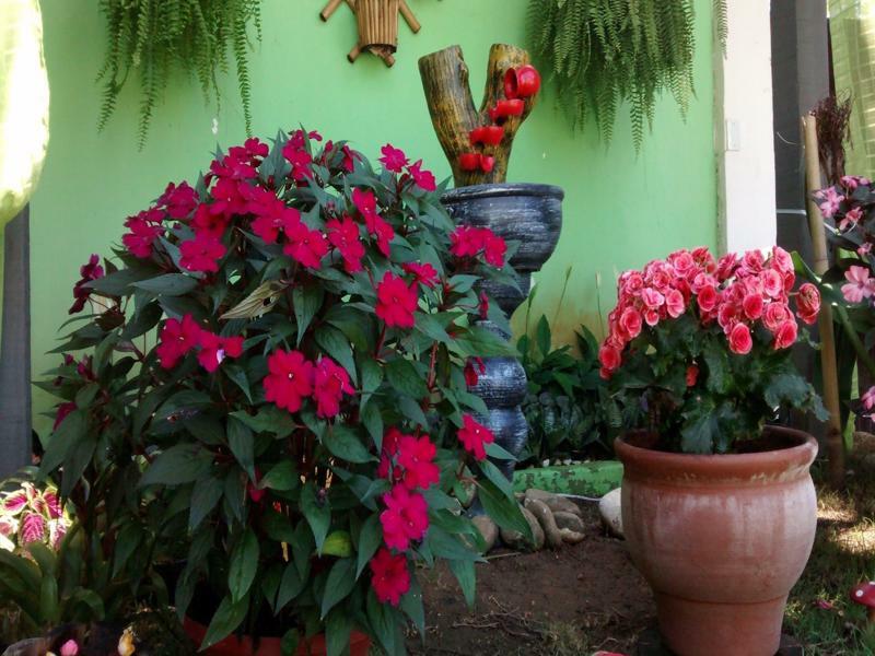 Flora Búzios